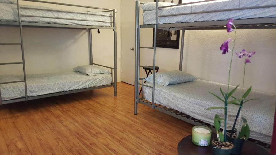 Bed in 4-Bed Female Dormitory Room,976448863:JPEG