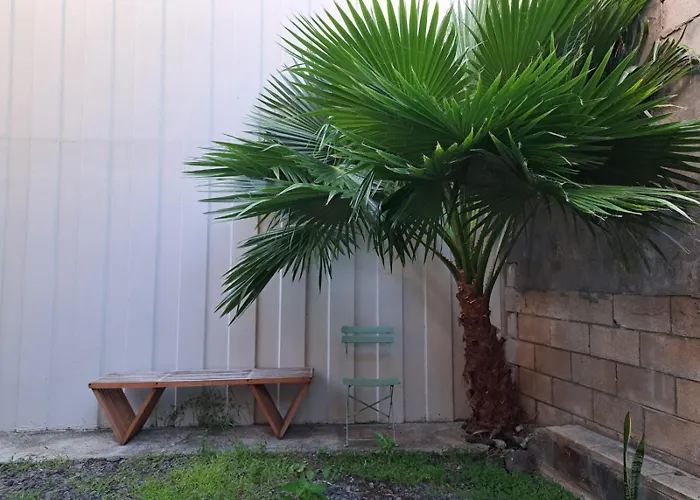 Honu Waikiki By Aloh Hostel Honolulu